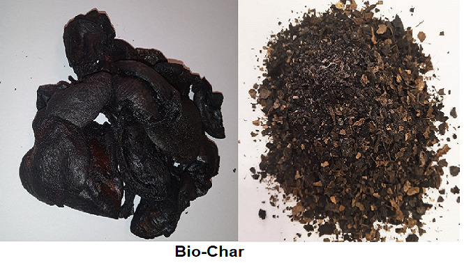 Explore Our Gallery – Pellet Burner India Projects & Plants