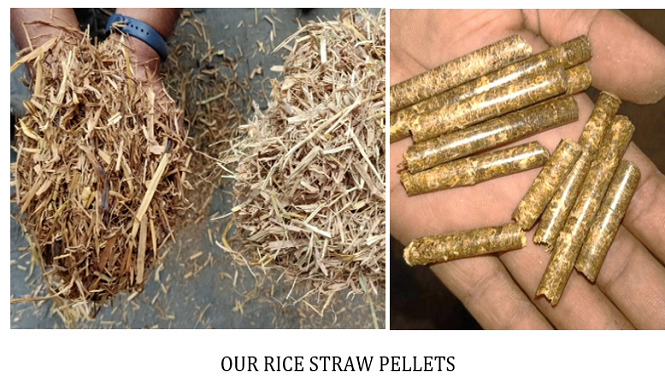 Explore Our Gallery – Pellet Burner India Projects & Plants
