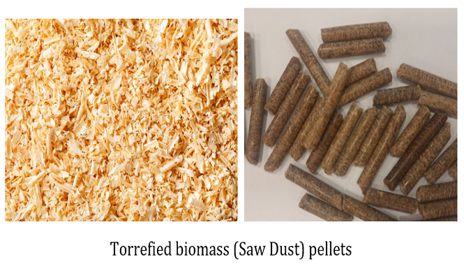 Explore Our Gallery – Pellet Burner India Projects & Plants