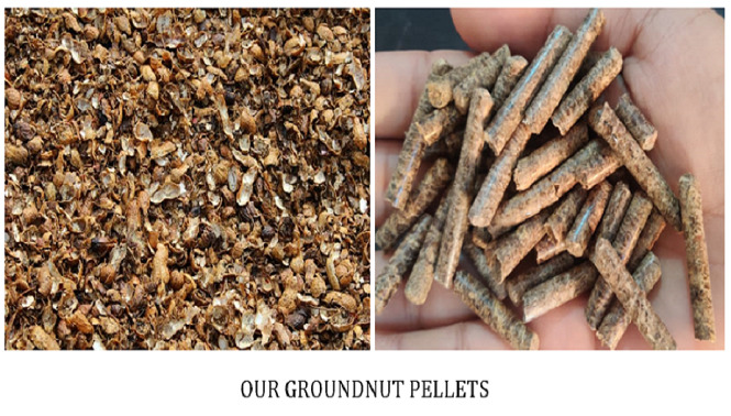 Explore Our Gallery – Pellet Burner India Projects & Plants
