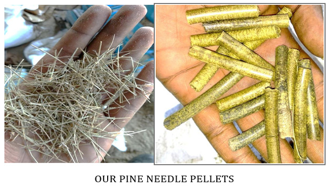 Explore Our Gallery – Pellet Burner India Projects & Plants