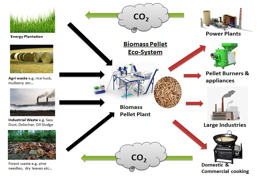 Biomass Fuel Pellets & Wood Fuel Pellet Manufacturer in India