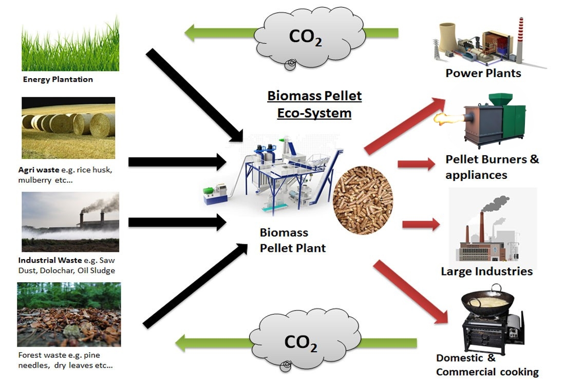 Biomass Fuel Pellets & Wood Fuel Pellet Manufacturer in India