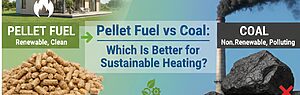 Pellet Fuel vs Coal: Which Is Better for Sustainable Heating?